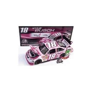   #18 Susan G. Komen Race For The Cure Toyota Camry 124 Toys & Games