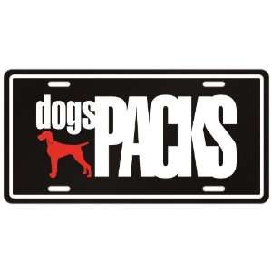 New  Vizsla Dogs Packs  License Plate Dog 
