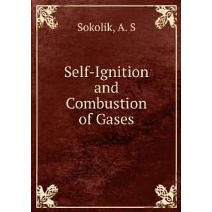  Self Ignition and Combustion of Gases A. S Sokolik Books