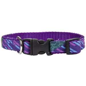   Training Collar   Large   1 (Quantity of 1)