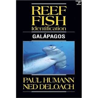 Reef Fish Identification Galapagos by Ned DeLoach and Paul Humann 