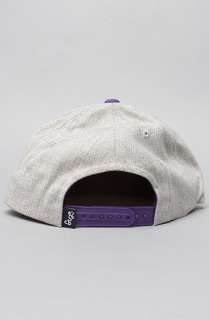 LRG Core Collection The Skate Giraffe Hat in Light Grey Heather 