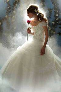   Hot style Bule Bridesmaid Bride Wedding Evening Dress High Quality