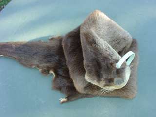 Missouri River Otter pelt garment tanned leather fur  