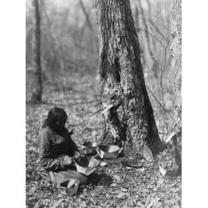  1908 photo Indian woman tapping maple sap Indian woman 