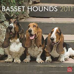  Basset Hounds 2011 Wall Calendar