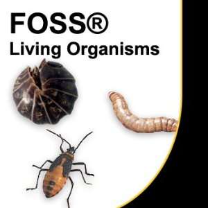 FOSS(r) Living Materials, Insects, Prepaid Coupon 6 12 Cricket Adults