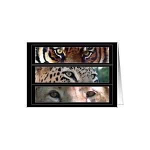  African Safari Bookmarkers Big Cats Blank Note Cards Card 