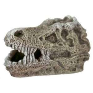   rex Skull (Catalog Category Aquarium / Resin Ornaments)