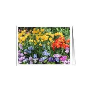 From All Happy Birthday Beautiful Assorted Flower Garden Card