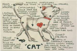 CAT ANATOMY Comic Postcard  