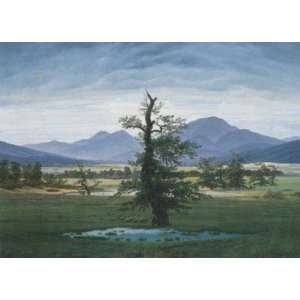 Single Tree by Caspar David Friedrich. Size 39.25 inches width by 27 