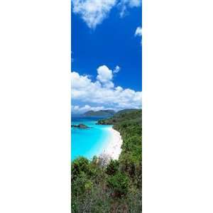  Walls 360 Wall Poster/Decal   Trunk Bay Saint John USVI 