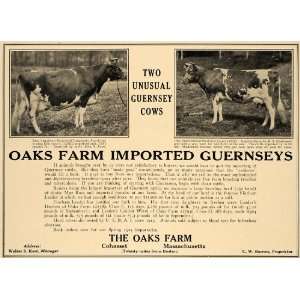  1924 Ad Oaks Farm Cohasset Walter S Kerr C W Barron Cow 