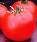 tomato seeds heinz  