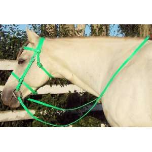   Green English Beta Biothane Horse Bridle & Reins