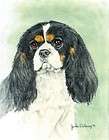 Cavalier King Charles Spaniel Note Cards in full Color