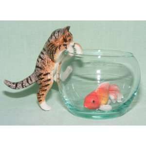  CAT Tiger Brown Climbs on GoldFish Bowl w FISH New 3 