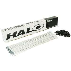  Halo Aura spoke, white 14g   box/100 266mm Sports 
