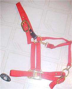 COB Size Horse SAFETY BREAKAWAY Halter RED  