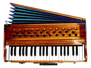 The harmonium is widely accepted in Indian music.