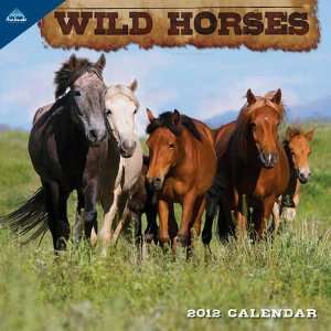  Wild Horses 2012 Mini Wall Calendar