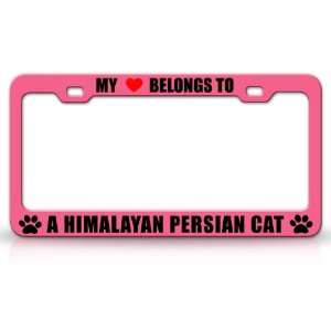MY HEART BELONGS TO A HIMALAYAN PERSIAN Cat Pet Auto License Plate 