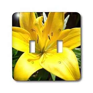 Patricia Sanders Flowers   yellow lily   Light Switch Covers   double 