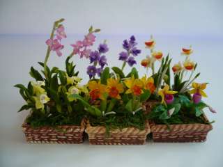 Set of 6 Mix Orchid Flower Plant in Pots Dollhouse Miniatures Deco 