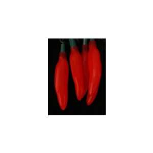   Red Chili Pepper Novelty Christmas Lights   Green Wire