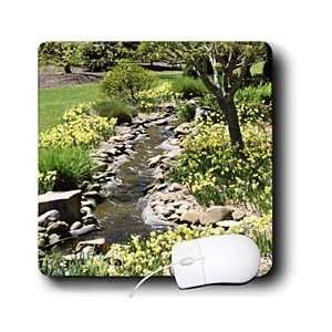   Prints   Daffadils lining a small creek   Mouse Pads Electronics