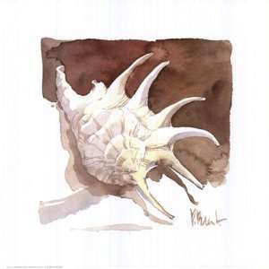 Contemporary Spider Conch by Paul Brent 11x11  Kitchen 