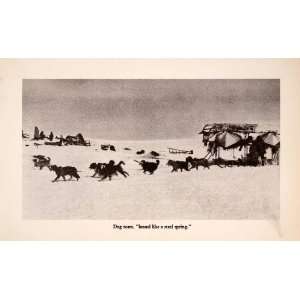 1939 Halftone Print Dog Sled Inuit Eskimo Alaska Siberian Husky Snow 