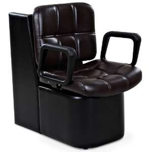  Hayworth Mocha Dryer Chair Beauty